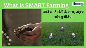 SMART Farming: प्रौद्योगिकी के माध्यम से कृषि जगत में कैसे आ रही है क्रांति, जानें लाभ, उद्देश्य और चुनौतियां