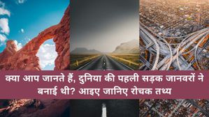 क्या आप जानते हैं, दुनिया की पहली सड़क जानवरों ने बनाई थी? जानिए सड़कों के बारे रोचक तथ्य