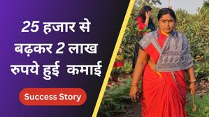 लातूर की महिला किसान ने अपनाई विशेष तकनीक, कमाई 25 हजार से बढ़कर 2 लाख रुपये हुई!