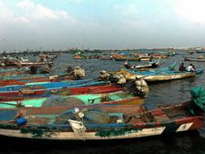 மீன்வள படிப்பில் சேர அடுத்த மாதம் 10ம் தேதி முதல் ஆன்லைன் விண்ணப்பம் 