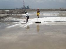 கடல் நீரிலிருந்து உப்பைப் பிரித்தெடுக்கப் பயன்படும் முறை எதுன்னு தெரியுமா? .. பொது அறிவுக் கேள்விகள்