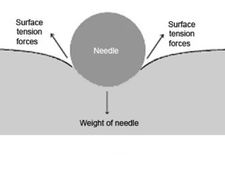 பரப்பு இழுவிசையின் அலகு எதுன்னு தெரியுமா? .. பொது அறிவுக் கேள்விகள் 