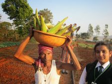 கோவை வேளாண் பல்கலைக்கழக சிறப்பு கலந்தாய்வு ஜூன் 16 இன்று ஆரம்பமானது..!