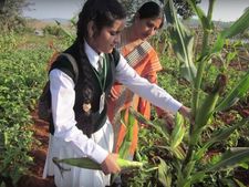 வேளாண் பல்கலைக்கழக பொது கலந்தாய்வு ஜூன் 19ந் தேதி ஆரம்பம்..! தரவரிசை பட்டியல் வெளியீடு 