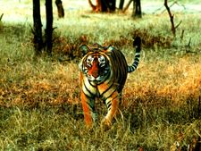 10, 12, மற்றும் கல்லுரி பாதியில் நிறுத்திய மாணவர்களுக்கு பயிற்சியுடன் வேலை வாய்ப்பு மிஸ் பண்ணாதீங்க!