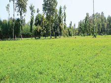 வேளாண் கல்வியும் வேலை வாய்ப்பு தரும் விவசாய தினம்