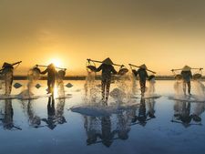  பாம்புகளே இல்லாத 'கடல்' எது தெரியுமா? 