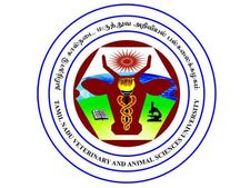 ரூ.10 ஆயிரம் சம்பளத்தில் தமிழக அரசில் வேலை!