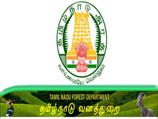 வனக் காப்பாளர் பணியிடத்திற்கு சான்றிதழ் சரிபார்ப்பு பணி துவக்கம்!