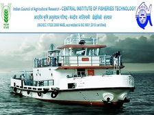 ஊக்கத் தொகையுடன் மத்திய அரசு வேலை- இன்று நேர்முகத் தேர்வு.!