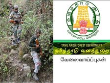 வனக் காவலர் பணியிடங்களுக்கு நேரடி நியமனமா? வேட்டைத் தடுப்புக் காவலர்கள் வேதனை!