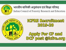 ICFRE: பட்டதாரி இளைஞர்களுக்கான மத்திய அரசு வேலை வாய்ப்பு அறிவிப்பு!