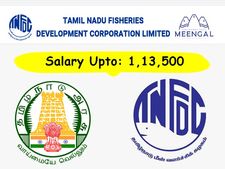 வேலை, வேலை, வேலை.!! ரூ.1.13 லட்சம் ஊதியத்தில் தமிழக மீன்வளத் துறையில் வேலை!