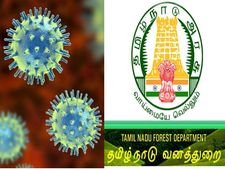 Coronavirus (COVID-19): வனக்காப்பாளர் பணிகளுக்கான தேர்வு எழுதியவர்களுக்கு முக்கிய அறிவிப்பு!