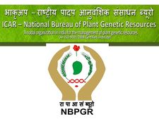 ரூ.35 ஆயிரம் ஊதியத்தில் தேசிய தாவர மரபணு நிறுவனத்தில் வேலை!