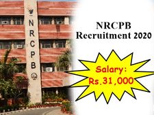 NRCPB Recruitment 2020: ரூ.31 ஆயிரம் ஊதியத்தில் மத்திய அரசு வேலை!