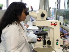 CRPF 2020: டிப்ளமோ முடித்தவர்களுக்கு மத்திய அரசு வேலை! ஊதியம் ரூ.40 ஆயிரம்!