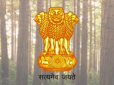 12-வது தேர்ச்சியா? வன மரபியல் மற்றும் மரம் இனப்பெருக்கம் நிறுவனத்தில் பணியாற்றலாம் வாங்க!
