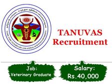 ரூ.40 ஆயிரம் ஊதியத்தில் தமிழ்நாடு கால்நடை அறிவியல் பல்கலையில் வேலை வேண்டுமா?