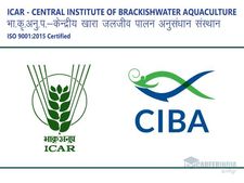 எம்.எஸ்சி பட்டதாரியா நீங்க? ரூ.35 ஆயிரம் ஊதியத்தில் மத்திய அரசு வேலை ரெடி!