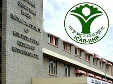 பட்டதாரி இளைஞர்களே! மத்திய தோட்டக்கலைத் துறையில் பணியாற்ற ஆசையா? விண்ணப்பங்கள் வரவேற்பு!