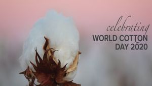 ICAR Coimbatore JRF Recruitment 2023:  நோ எக்ஸாம்.... ரூ.31 ஆயிரம் ஊதியம்...!