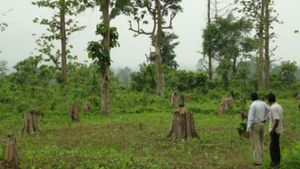 வனத்துறையில் பணிபுரிய உங்களுக்கு ஆசையா இருக்கா...!!!