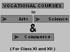 Vocational Courses Now In Arts, Science& Commerce!