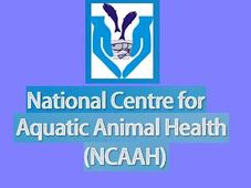 NCAAH CUSAT, Cochin Opens M.Tech Admission 2012