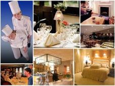 New Specializations In The Field Of Hospitality