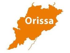 Odisha Government Released the First Plus3 Cut-off List