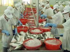 IGNOU offers Distance Learning programme in Fish Processing