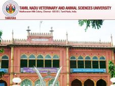 PG Admissions at Tamil Nadu Veterinary & Animal Sciences University