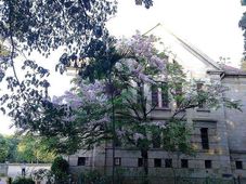 IISc's database to save the vegetation of the state