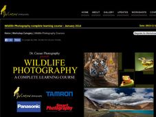 Go wild with online course on wildlife photography