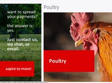 Become a poultry farmer with this online course