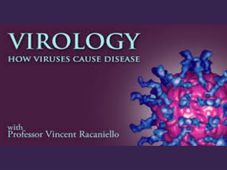 Learn how viruses cause disease in this online course