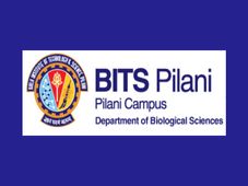 Opportunity to work as Junior Research Fellow in BITS Pilani