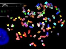 Learn the secrets of Genomic Medicine with this online course