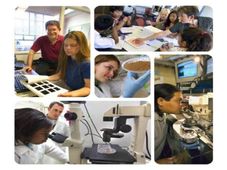 What is Agricultural Engineering? - Scope and Career opportunities