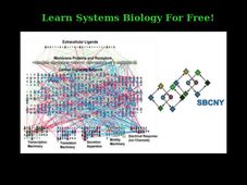 Want to know about Systems Biology? Take this free online course