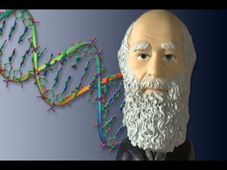 DNA to Organisms - Online course by University of California, Irvine