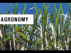 What is Agronomy? - Scope and Career opportunities