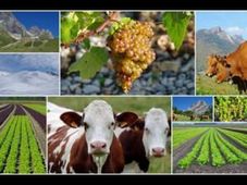 Admission to PGDM in Agri-Business Management at MANAGE, Hyderabad