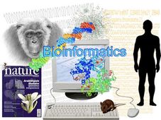 What is Bioinformatics? Scope and Career opportunities