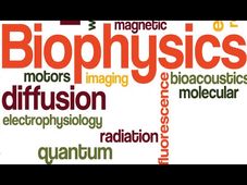 What is Biophysics? Scope and Career opportunities