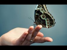 Learn moralities of everyday life online for free