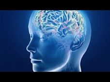 The Brain and Space: Online course by Duke University