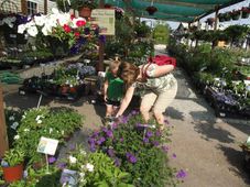 What is Horticulture? Scope and career opportunities