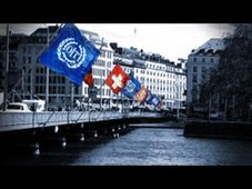 International Organizations Management: Online course